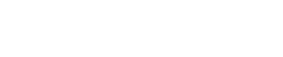 draccon_logo_white